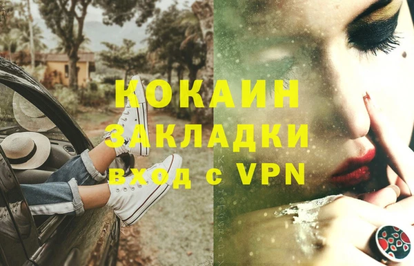эйфоретик Богданович