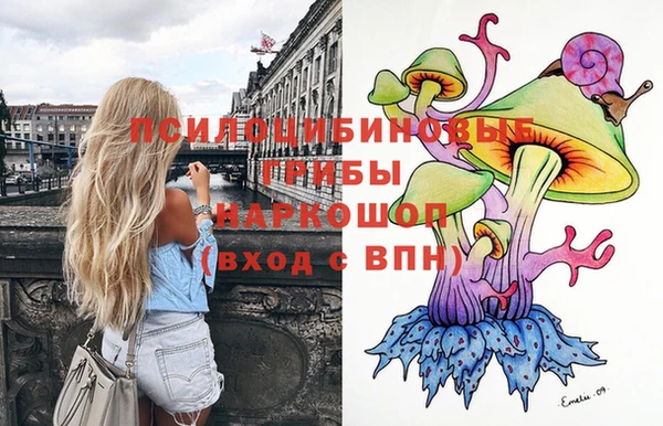 герыч Богородицк